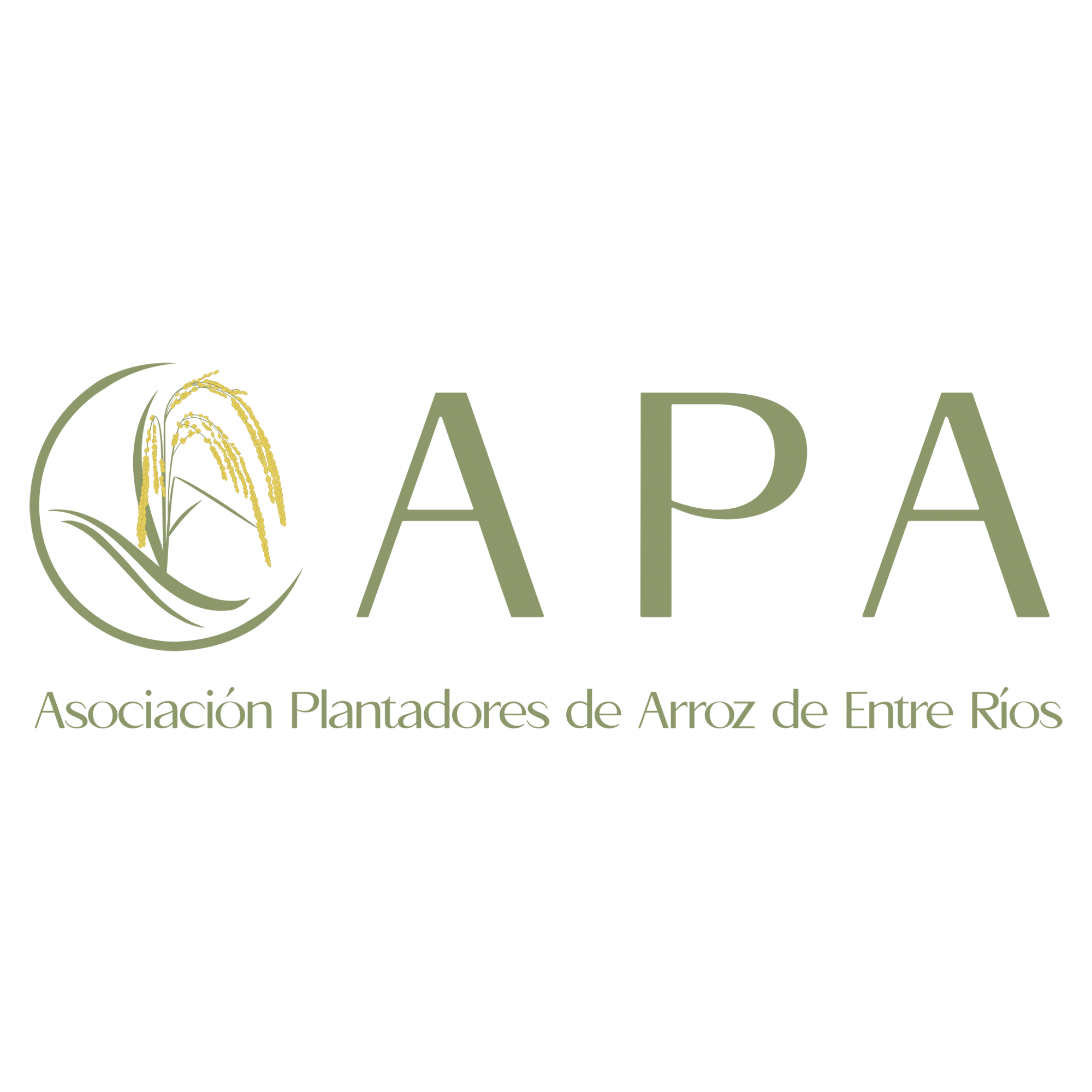 ASOCIACION PLANTADORES DE ARROZ