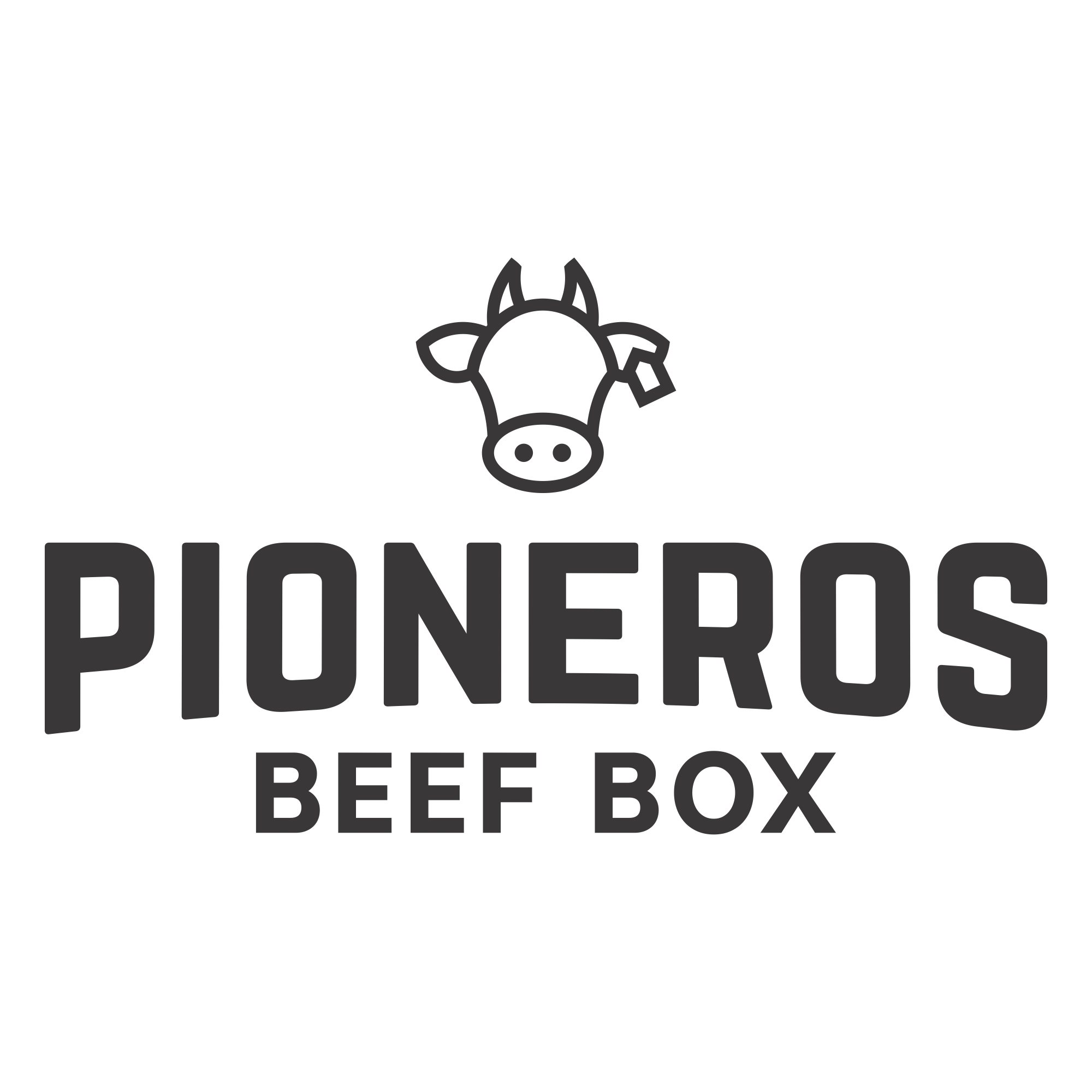PIONEROS